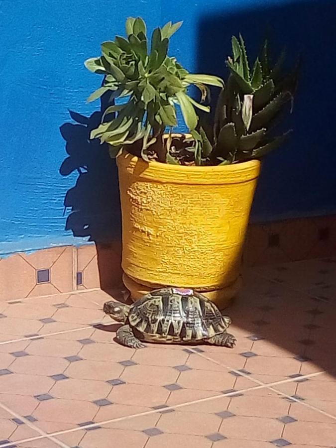 Riad Zinnha Marakeş Dış mekan fotoğraf